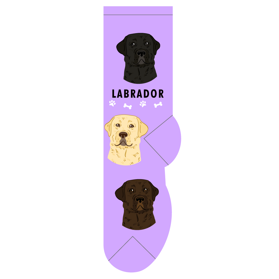 Labrador