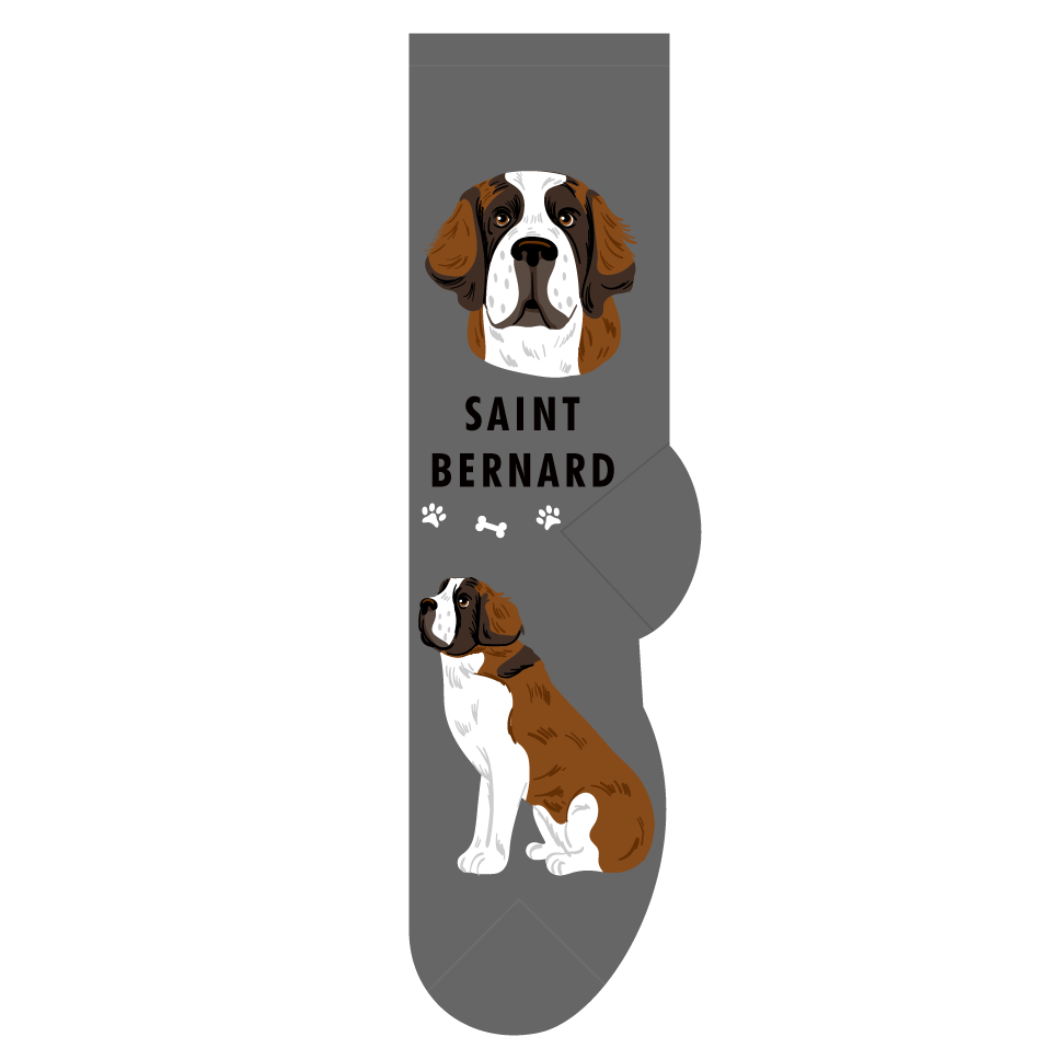 Saint Bernard